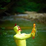 [댓글부탁해] 너넨 보신탕 <b>찬성</b>해 반대해