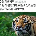 [드루와] 얘들아 이런 느낌나는 브랜드 있음?