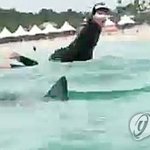 제주 해수<b>욕</b>장 상어 출현 긴급 <b>통제</b>