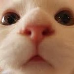 [댓글부탁해] 얘들아 아이폰 <b>무음</b> 어떻게 풀어