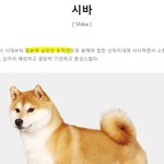[댓글부탁해] 애들아 <b>장염</b> 걸렸을때