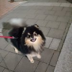 [댓글부탁해] <b>외모</b>에 대해서 <b>자신감</b>이 너무 없어