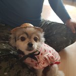 <b>버섯</b>따는 사랑이️