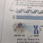 [드루와] 니네 시험 언제 <b>끝남</b>??