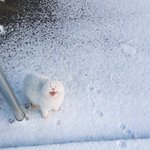 [드루와] 타일러 리얼클래스 <b>신청</b>해본 사람?