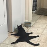 생각보다 더 매력 넘치는 <b>깜냥</b>이