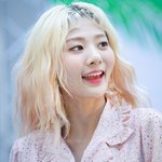 인간 레몬 같았던 안지영