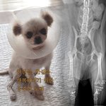 다시 <b>온전</b>한 걸음으로 따뜻함을 만나기를 바라는 공주