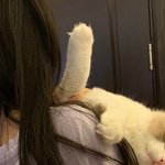 난눈이높아서 독신으로 살거임