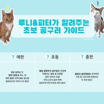 [강<b>다니엘</b>] ⭐강<b>다니엘</b> 뭐해⭐ 스밍리스트 추가