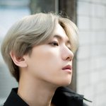 [EXO] 백현이는 지금 <b>종합</b>적으로