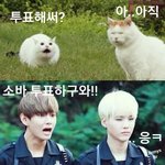 [방탄소년단] <b>소바</b> 투표 아직 한번도 안한 노양심 이삐는 없겠지