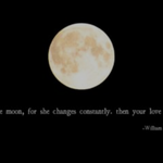 [사진ㅇ] 카톡 <b>배사</b> 이거면 뭔 생각 들음