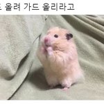 인어공주 배우 불평했더니