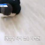 [프듀X] ㅅㅂ<b>황윤성</b> 뭐임ㅋㅋㅋㅋㅋㅋㅋ