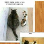 [댓글부탁해] 더 충격인거 추반 ㄱ