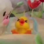 <b>amsr</b>추천좀