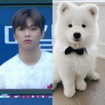 [강다니엘] 멈무아닐<b>리가</b>
