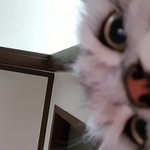 귀여운 <b>초롱</b>이를 소개합니다^^ 4탄