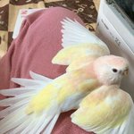 [꼭조언부탁] 여친이  저를안좋아하는것같에요...