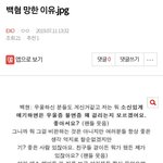 [EXO] ⬇️백혐 망한 이유.<b>jpg</b> 여기서