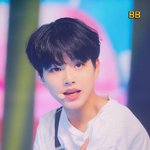 [프듀<b>X</b>] (+진우에게)하루가 다르게 크고있는 연습생