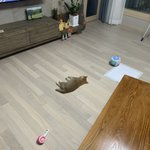 [드루와] 킬링타임용 공포<b>or</b>스릴러 영화 추천해줄 착한 사람!!...