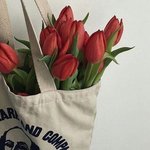 [댓글부탁해] 8월 전까지 10만원을 모아야되는데