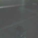 [EXO] 나한테 츄르랑 <b>사료</b> 얻어먹던