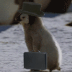 [인생무상] 기묘한 이야기 (열다섯번째 -집 터 <下>)