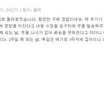 [도와주세요] <b>불량</b> 캐리어 판매업자에게 협박당하고 불안에 떨고 있습니다...