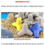 [댓글부탁해] 바닷가에 가서 절대 하지 말아야 할 <b>행동</b>