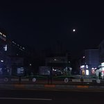 [회사생활] 살려주세요ㅜ
