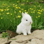 [NCT] 이링크 세개만 추천눌러줘 베플내려갔음 그리고 관심ㄴㄴ