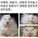 [댓글부탁해] 친구랑 싸운 애랑 말도 하면 안 되나??