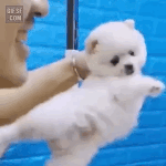 오늘 <b>소확</b>행 개쩔게 하고 있음