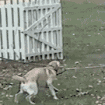 [EXO] <b>술</b>이<b>문제</b>야 2위된거 봐 ㅋㅋ