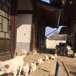 [댓글부탁해] ++) 나만 그런지 모르겠는데 요즘 애들