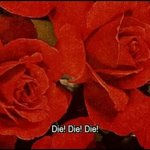 [19] 너네 일본 불매 뭐했어?