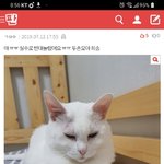 [댓글부탁해] <b>word</b>