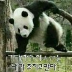 <b>틱톡</b> <b>화장</b>글 글좀 그만올라왔으면;