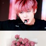 [댓글부탁해] 이거봤냐 박지훈과 꽃