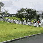 [댓글부탁해] 미친것같은 방탄 <b>일본콘</b> 굿즈줄