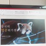 <b>ppt</b>표지 만들었는데 ㄱㅊ한가봐봐