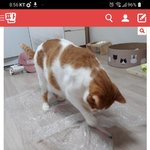 [댓글부탁해] 너는 <b>살만</b> 빼면 된대