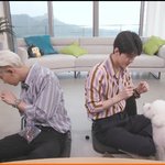 [EXO] 형은 토베니 달래고있어