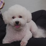 [EXO] 지금은 비<b>비원</b>샷 비비타임