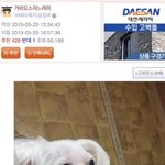 [쫄보주의] 나 <b>가위</b> 눌린거 레전드 있음