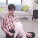 [EXO] <b>세훈이</b> 비비 빼고 다 무서워한다고ㅋㅋㅋㅋ