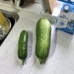 [드루와] 시골라이프 환상 갖고 있는 애 있냐